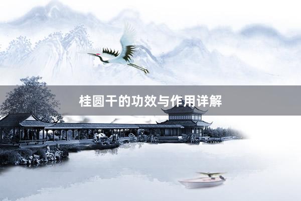 桂圆干的功效与作用详解