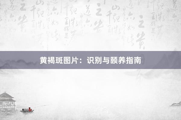 黄褐斑图片：识别与颐养指南